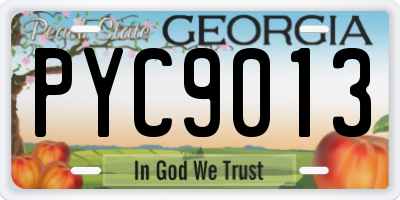 GA license plate PYC9013