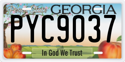 GA license plate PYC9037