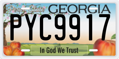 GA license plate PYC9917