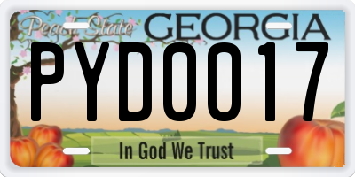 GA license plate PYD0017