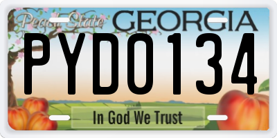 GA license plate PYD0134