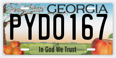 GA license plate PYD0167