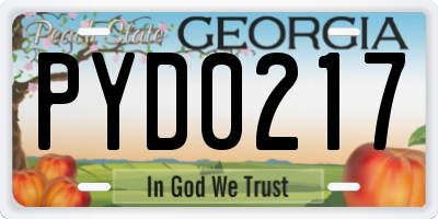 GA license plate PYD0217