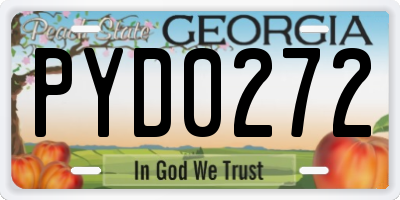 GA license plate PYD0272