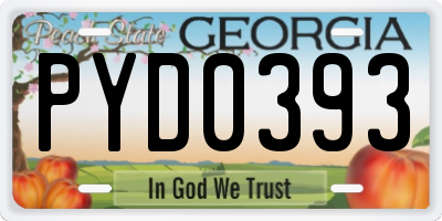 GA license plate PYD0393