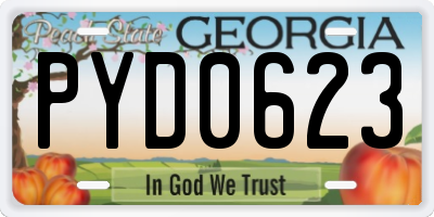 GA license plate PYD0623