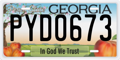 GA license plate PYD0673