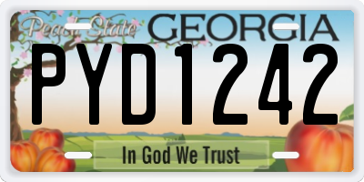 GA license plate PYD1242