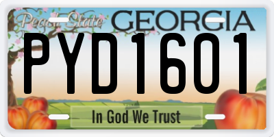 GA license plate PYD1601