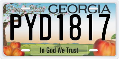 GA license plate PYD1817
