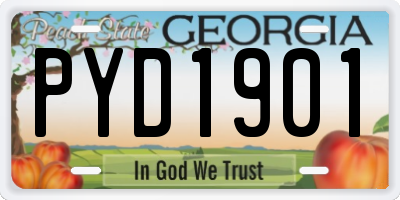 GA license plate PYD1901