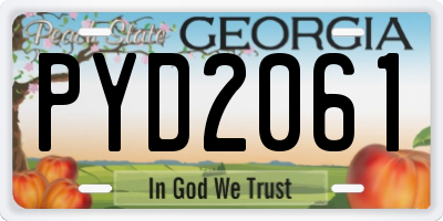 GA license plate PYD2061
