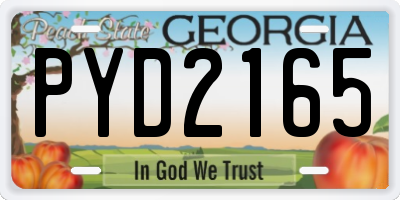 GA license plate PYD2165