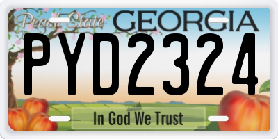 GA license plate PYD2324