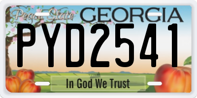 GA license plate PYD2541