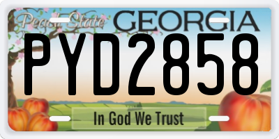 GA license plate PYD2858