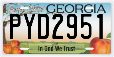 GA license plate PYD2951
