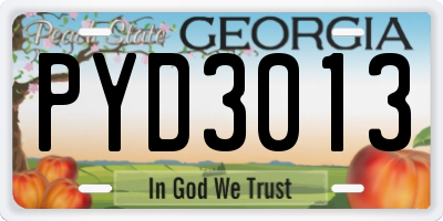 GA license plate PYD3013