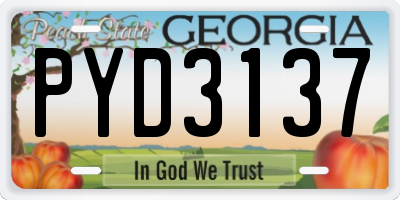 GA license plate PYD3137