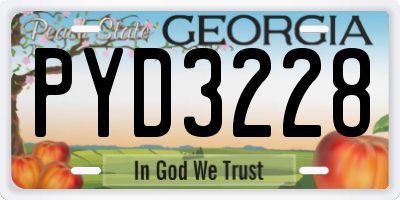GA license plate PYD3228