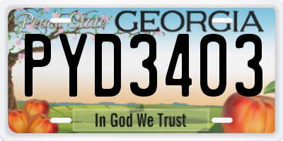 GA license plate PYD3403
