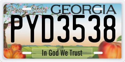 GA license plate PYD3538