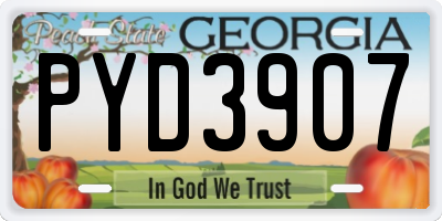 GA license plate PYD3907