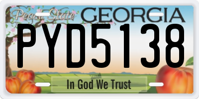 GA license plate PYD5138