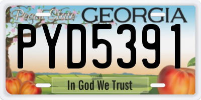 GA license plate PYD5391