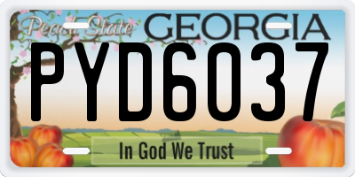 GA license plate PYD6037