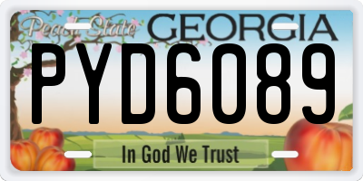 GA license plate PYD6089