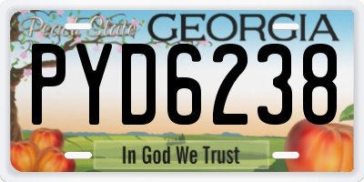 GA license plate PYD6238