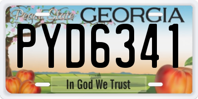GA license plate PYD6341