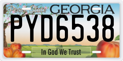 GA license plate PYD6538