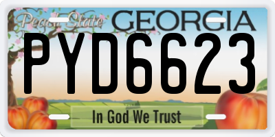 GA license plate PYD6623