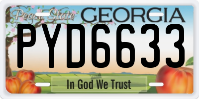 GA license plate PYD6633
