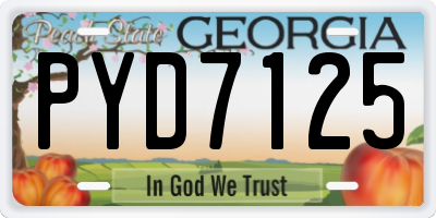 GA license plate PYD7125