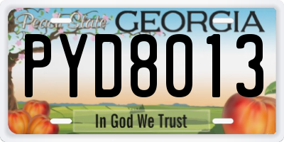 GA license plate PYD8013