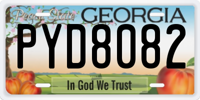 GA license plate PYD8082