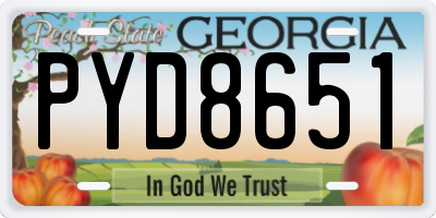 GA license plate PYD8651