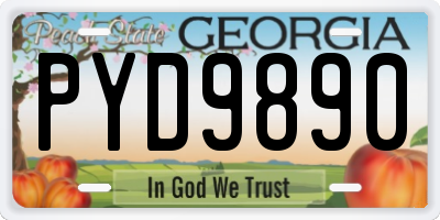 GA license plate PYD9890