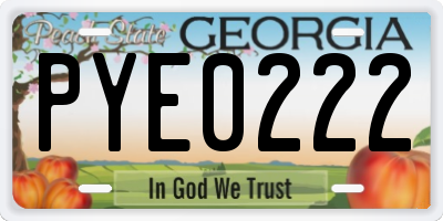 GA license plate PYE0222