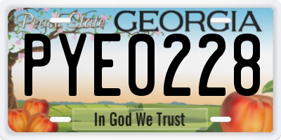 GA license plate PYE0228