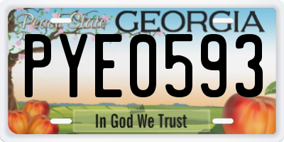 GA license plate PYE0593