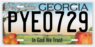 GA license plate PYE0729