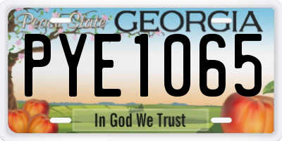 GA license plate PYE1065