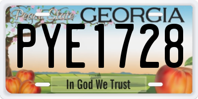 GA license plate PYE1728