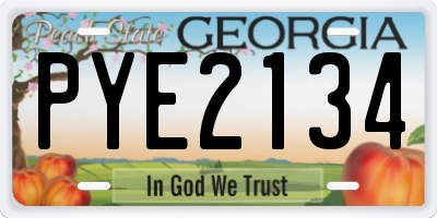 GA license plate PYE2134