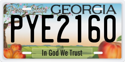 GA license plate PYE2160