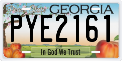 GA license plate PYE2161